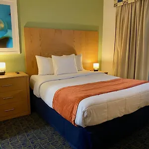 Hotel Ficus ***